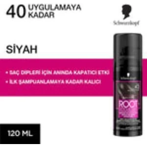Root Retoucher Sprey Boya Siyah 120 ml