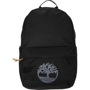 Thayer 27LT Sırt Çantası Black