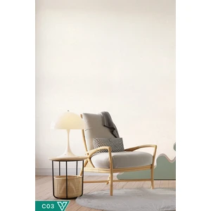 Canlı Sıva Ventrawall Krem Renk C03