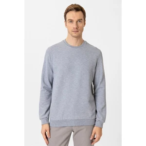 Gri Regular Bisiklet Yaka Sweatshirt