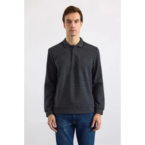 Antrasit Regular Düz Polo Yaka Sweatshirt