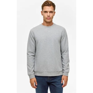 Gri Regular Düz Bisiklet Yaka Sweatshirt