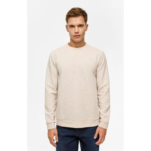 Bej Regular Düz Bisiklet Yaka Sweatshirt
