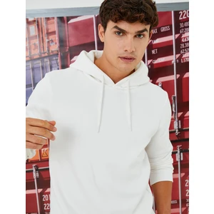 Basic Kapşonlu Sweatshirt Şardonlu