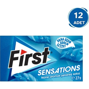 Sensations Nane Aromalı Sakız 27 gr - 12 Adet