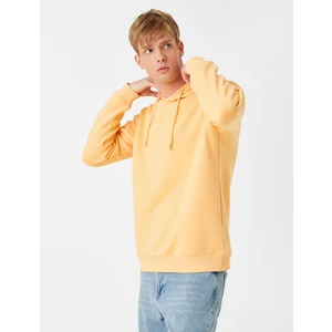 Basic Kapşonlu Sweatshirt Şardonlu