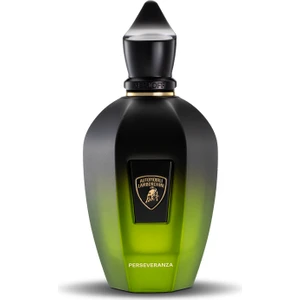 For Automobili Lamborghini – Perseveranza 100 ml Parfüm