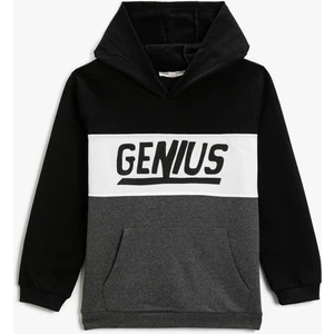 Baskılı Kapüşonlu Sweatshirt