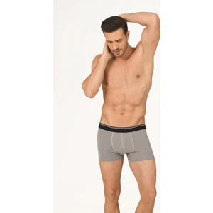 Gri Hendrix Modal Boxer