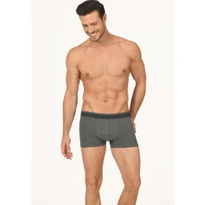 Antrasit Thin Line Boxer