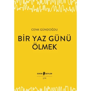 Edebi Şeyler Bir Yaz Günü Ölmek