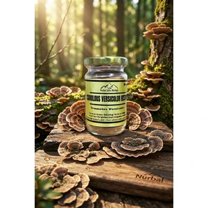 Coriolous Versicolor Ekstrak 50 gr