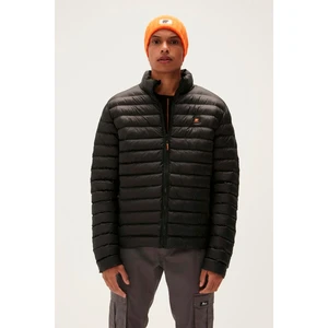 Bad Bear Archer Puffer Night