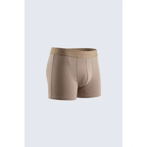 Kahverengi Bambu Boxer