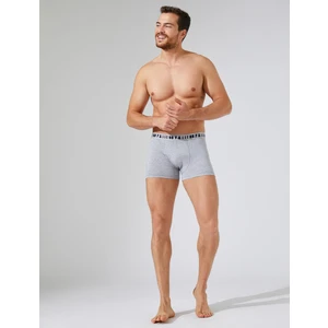 3'lü Basic Boxer