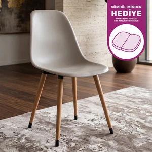 Eames Ahşap Ayak Plastik Sandalye