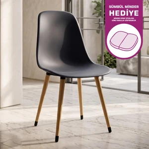 Eames Ahşap Ayak Plastik Sandalye