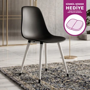 Eames Ahşap Ayak Plastik Sandalye