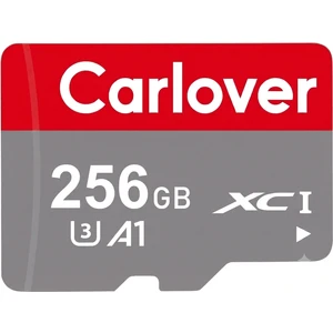 256 GB Hafıza Kartı