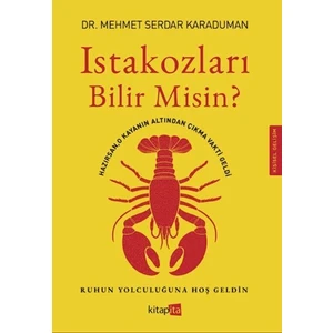 Istakozları Bilir Misin?