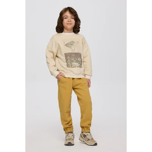 Erkek Çocuk Baskılı Bej Sweatshirt