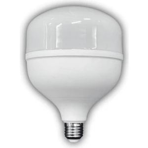 CT-4328 65W Torch Led Ampül