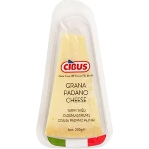 Pamesan Peyniri Parça, 200 gr