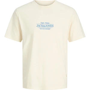 Jack & Jones Jorcassıs Mınımal Tee Ss Crew Neck