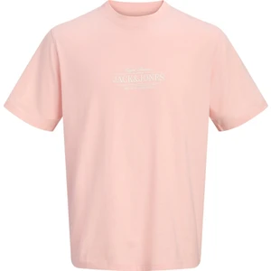 Jack & Jones Jorcassıs Mınımal Tee Ss Crew Neck