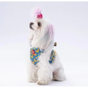 PawStar  Airmesh Ducks Göğüs Tasması