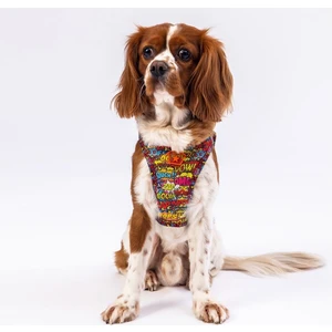 PawStar  Airmesh Wow Göğüs Tasması