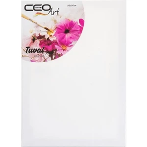 Ceoart Tuval 35x50 Düz