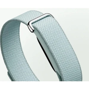 POCO Google Fitbit Air Fog (Gri/yeşil)