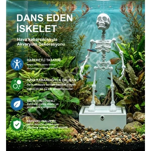 Dans Eden Iskelet Akvaryum Süsü Expressonline
