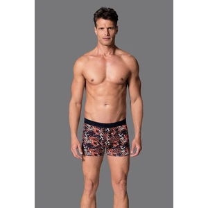 019 Erkek Compact Yaprak Boxer