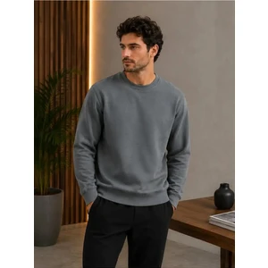 Antrasit Renk Basic Bisiklet Yaka Relaxed Regular Erkek Sweatshirt