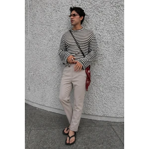 Bej Regular Fit Erkek Pantolon E6574
