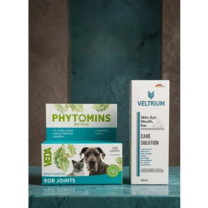 Phytomıns For Joınts