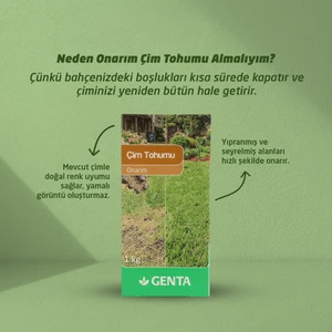 Onarım Çim Tohumu 1 kg.