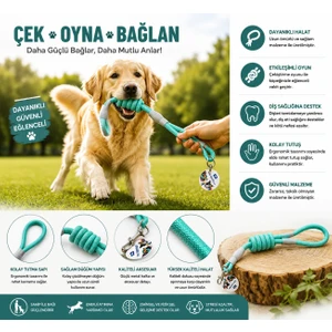 Evcil Hayvan Köpek Fitil Gezdirme