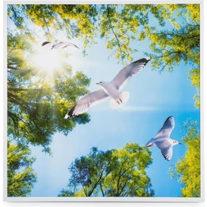 60*60 Pvc Asma Tavan Doğa Desen 20 Ad. Panel