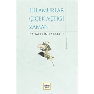 Ihlamurlar Çiçek Açtığı Zaman