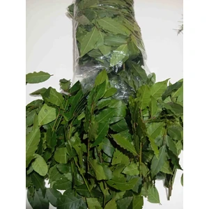 Defne Yaprağı 500 gr