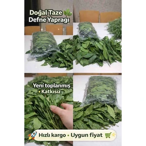 Doğal Defne Yaprağı 250 gr 🌿