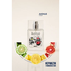 Avenue Erkek Parfüm 50 ml Edp