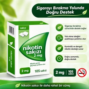 Nicarette 2 Mg 105 Adet Naneli Sakız