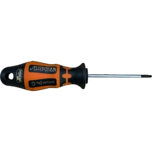 Delikli Tork TornavidaT25*115 mm RXT1025