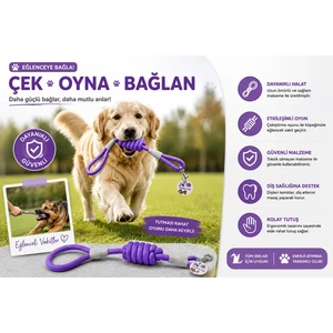 Köpek Fitil Gezdirme Tasması – Dayanıklı Örgü İpli Köpek Gezdirme Kayışı 8mm x 120 cm