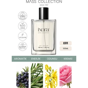 Ixora E001 Glee Erkek Parfüm 100 ML EDP