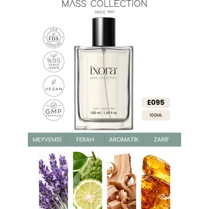 E095 Arjin Erkek EDP Parfüm 100 ml